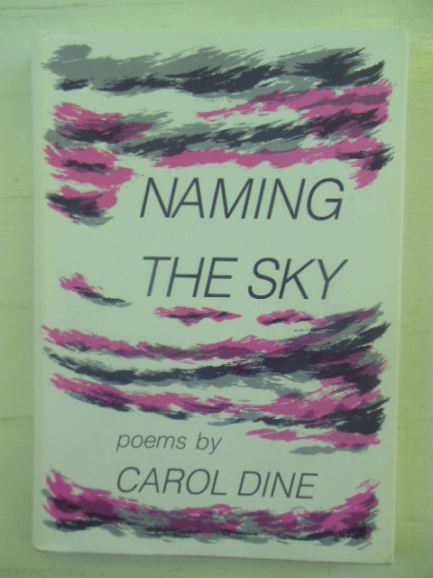 Naming the Sky Image for Naming the Sky