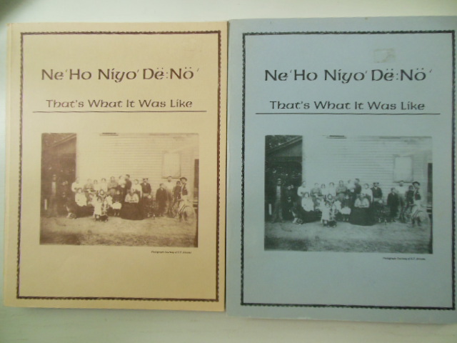 Ne' Ho Ni Yo De No; That's What It Was Like Image for Ne' Ho Ni Yo De No; That's What It Was Like