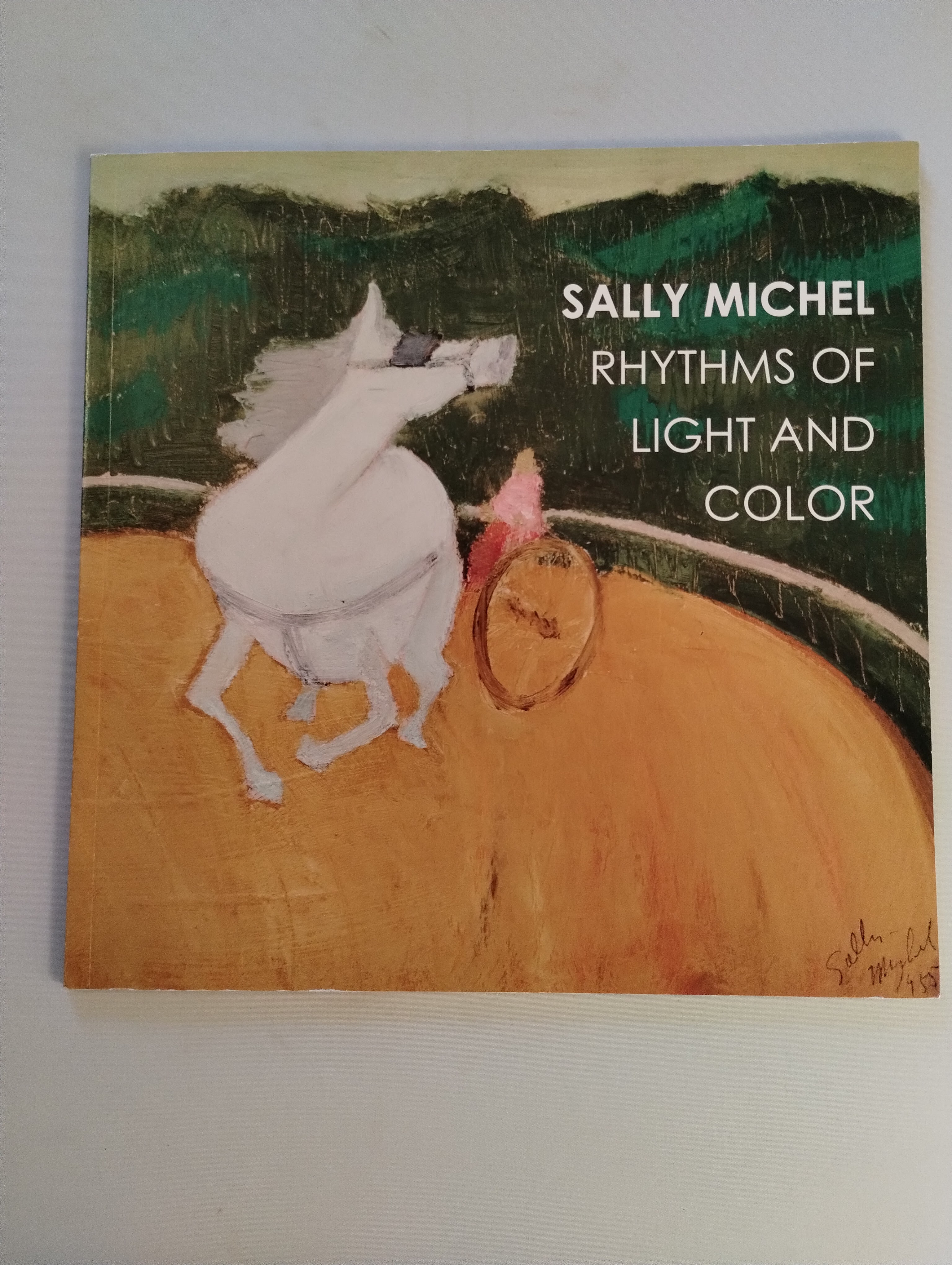 SALLY MICHEL RYTHAMS OF LIGHT AND COLOR