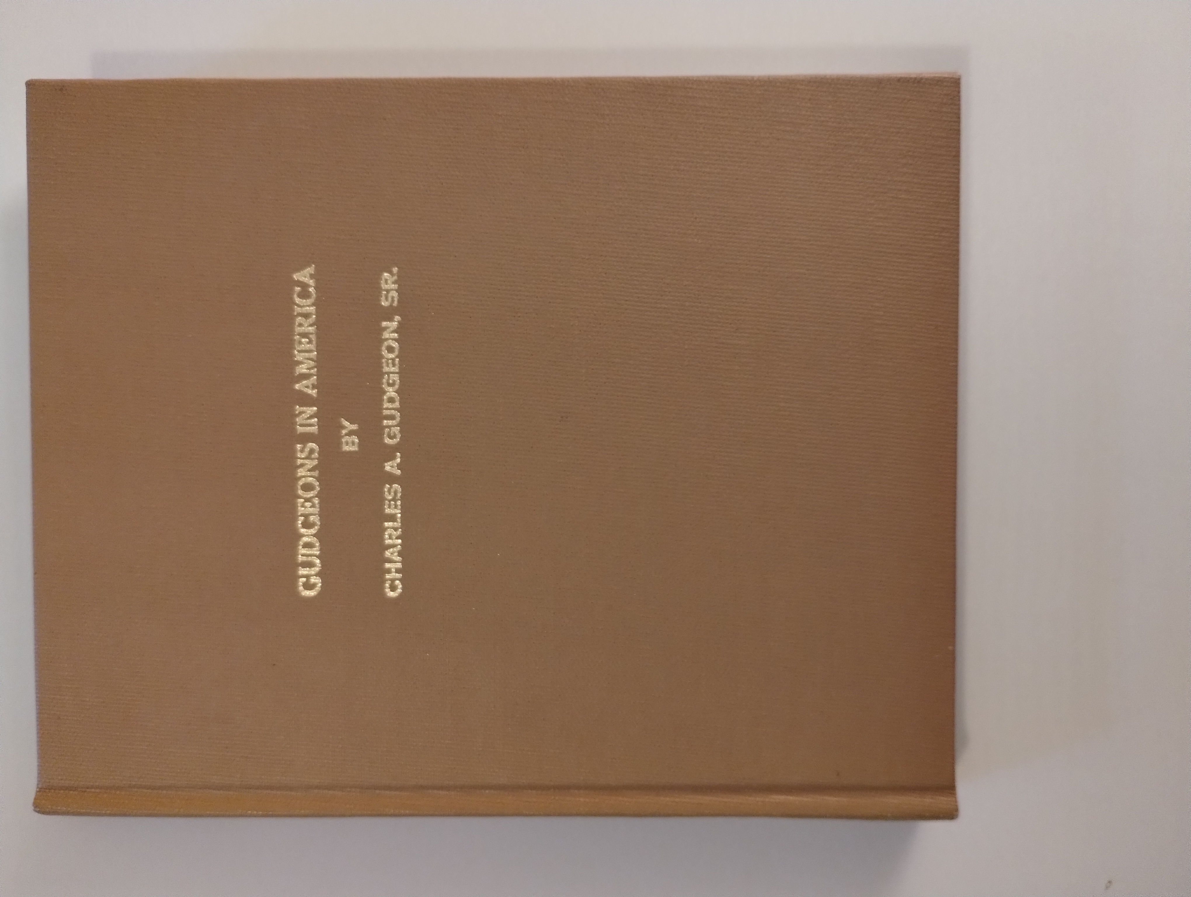 THE GUDGEONS IN AMERICA A FAMILY HISTORY