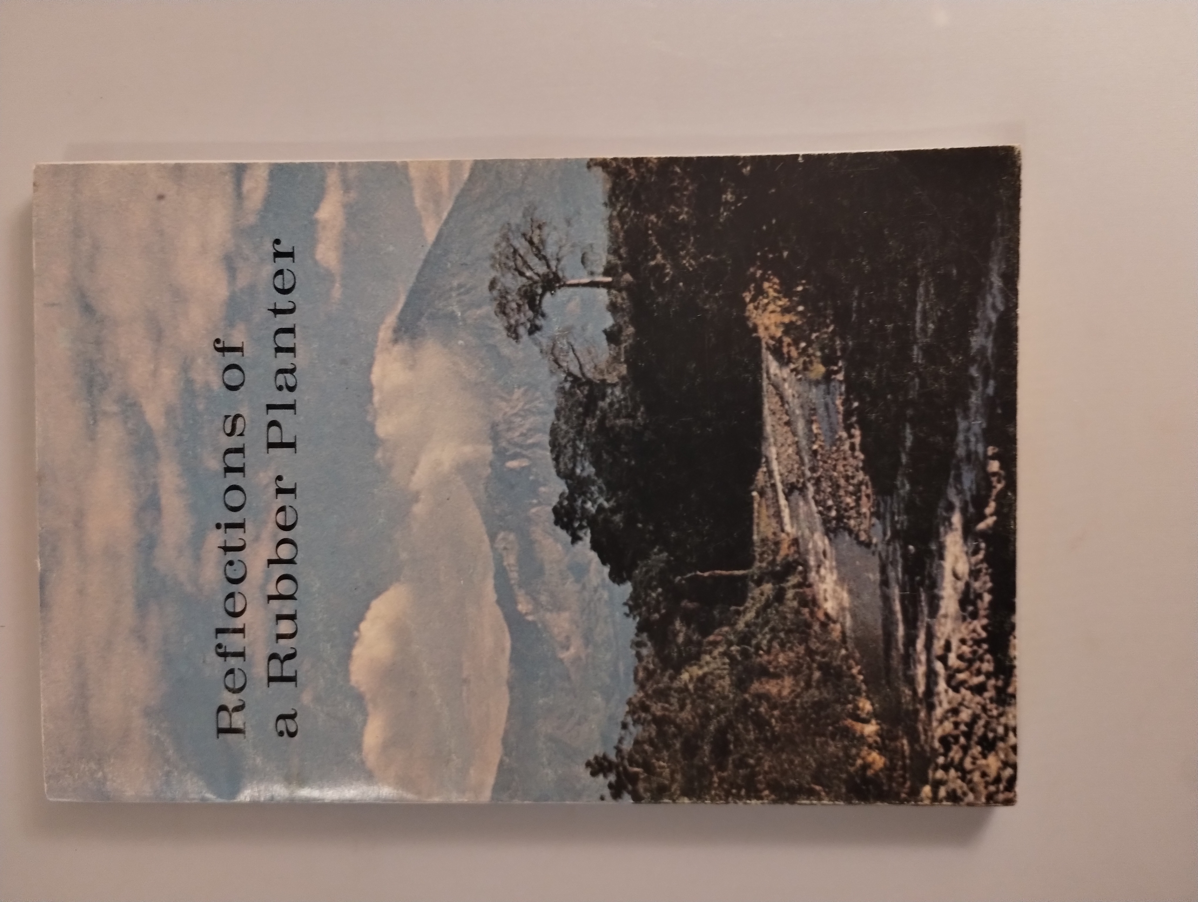 REFLECTIONS OF A RUBBER PLANTER