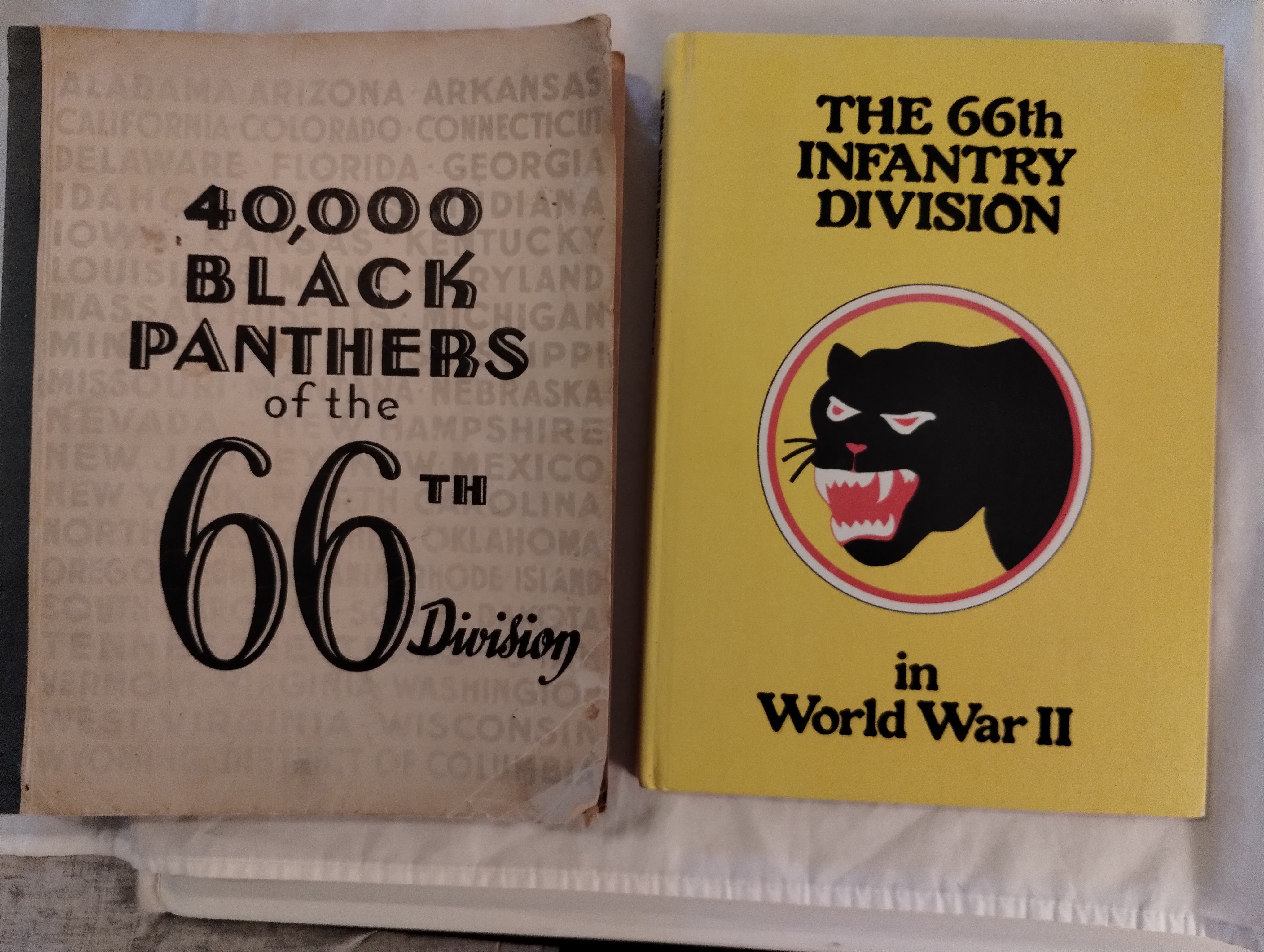 THE 66TH INFANTRY DIVISION IN WORLD WAR II