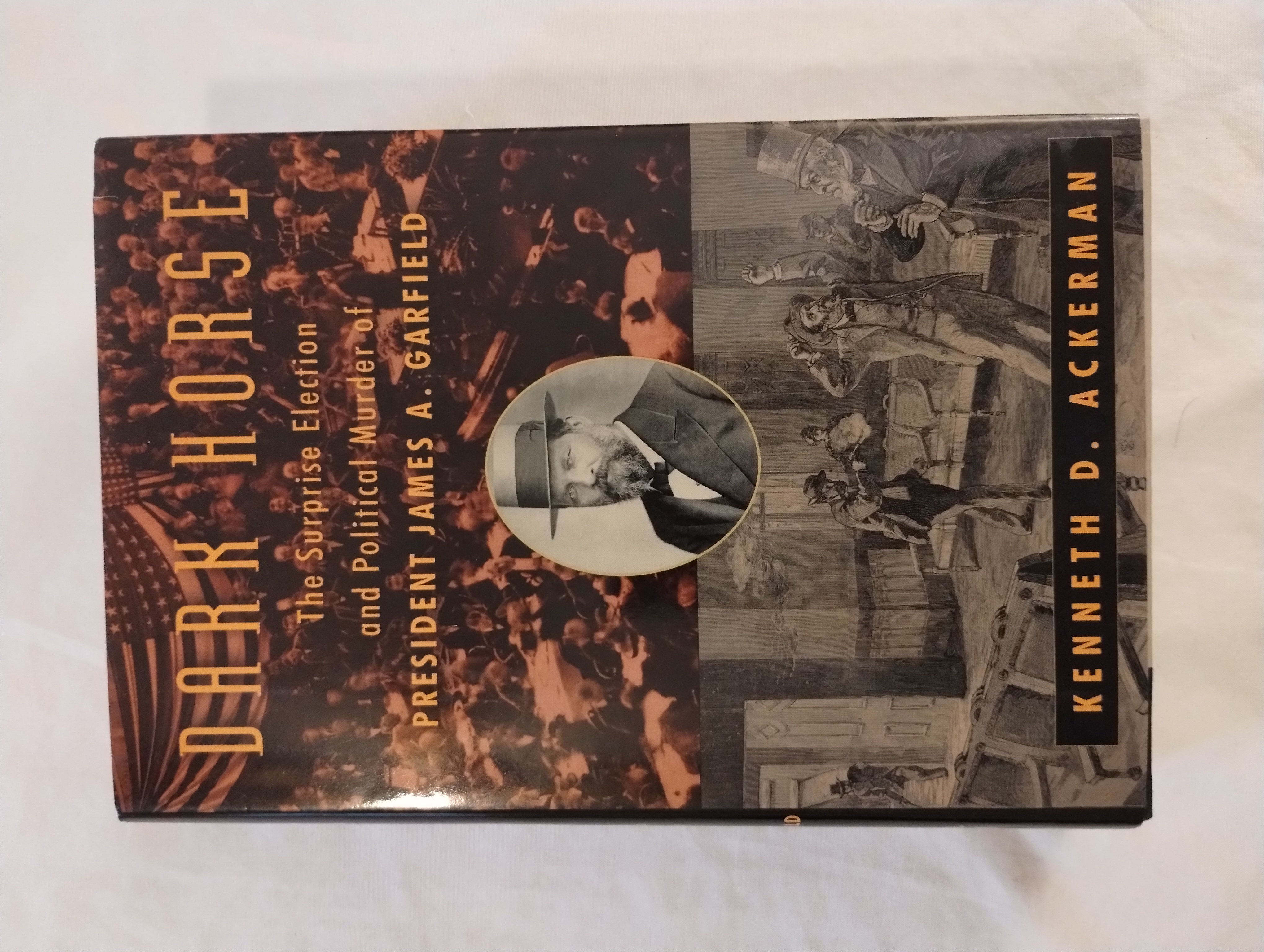 DARK HORSE THE SURPRISE ELECTION AND POLITICAL MURDER OF PRESIDENT JAMES A. GARFIELD