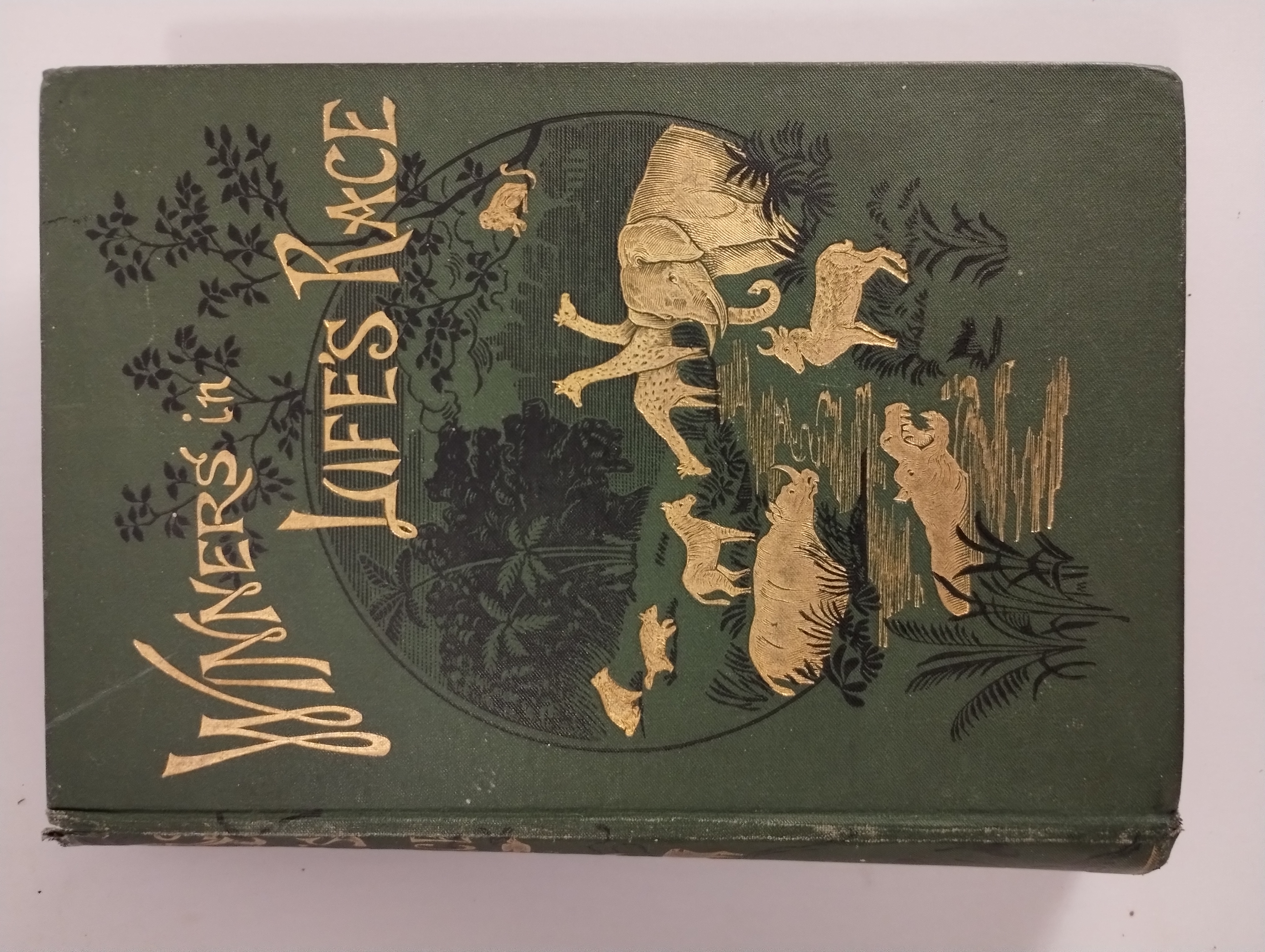 THE WINNERS IN LIF'S RACE