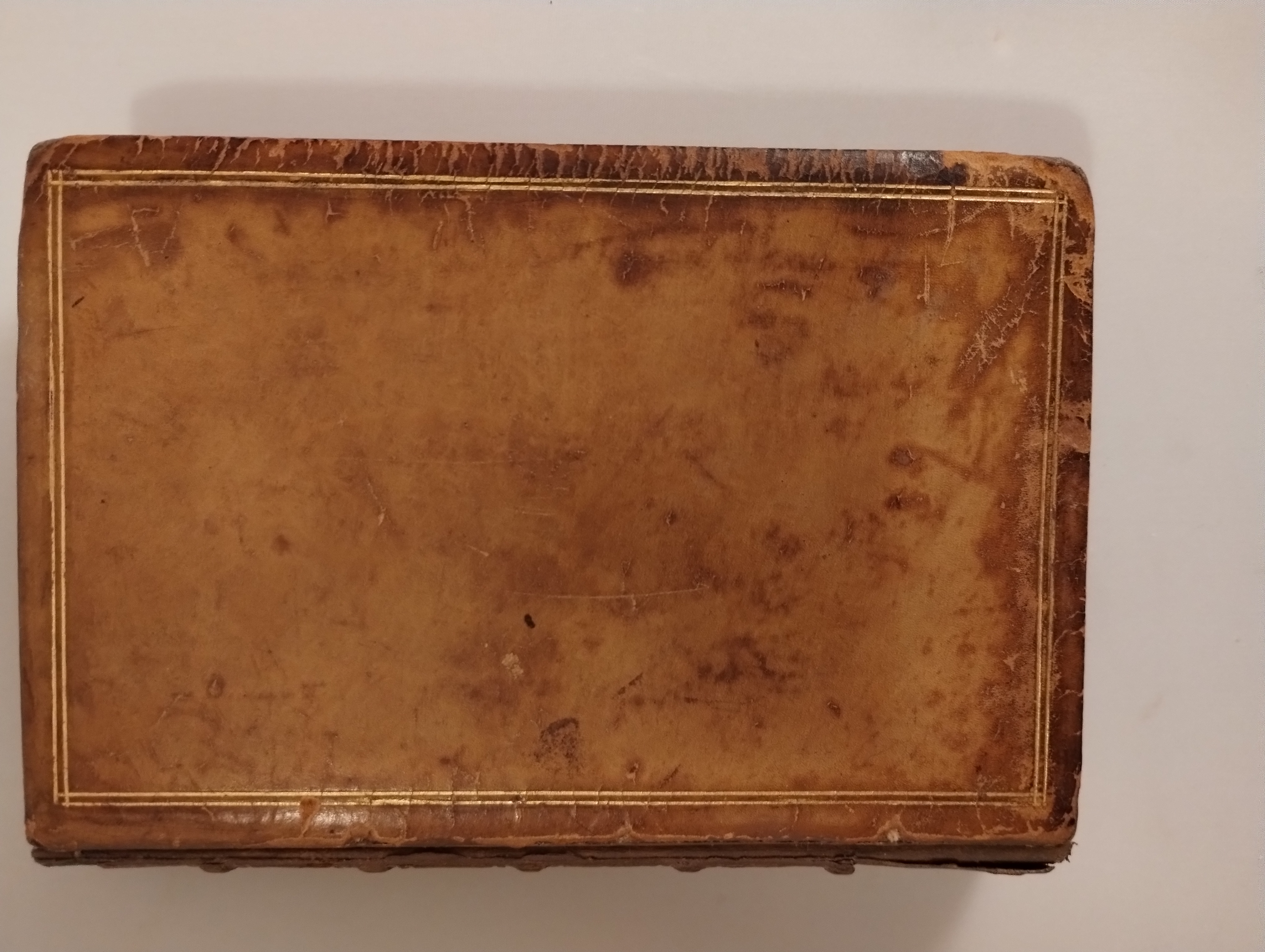 COMPANIONS OF MY SOLITUDE