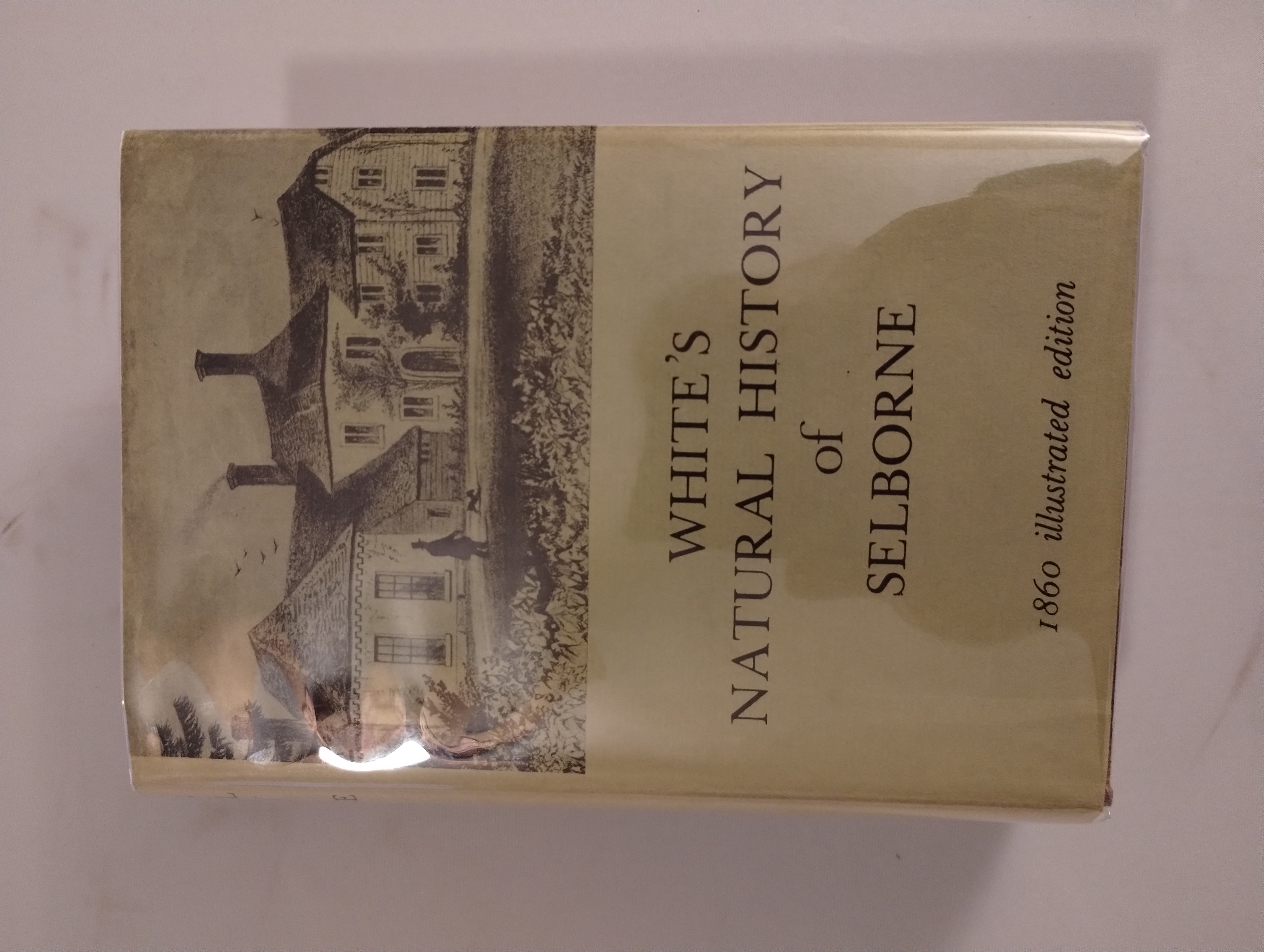 WHITES NATURAL HISTORY OF SELBORNE