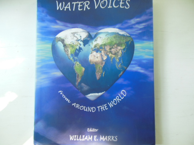 Image for Water Voices from Around the World