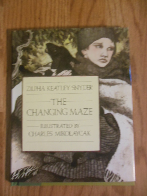 Image for The Changing Maze
