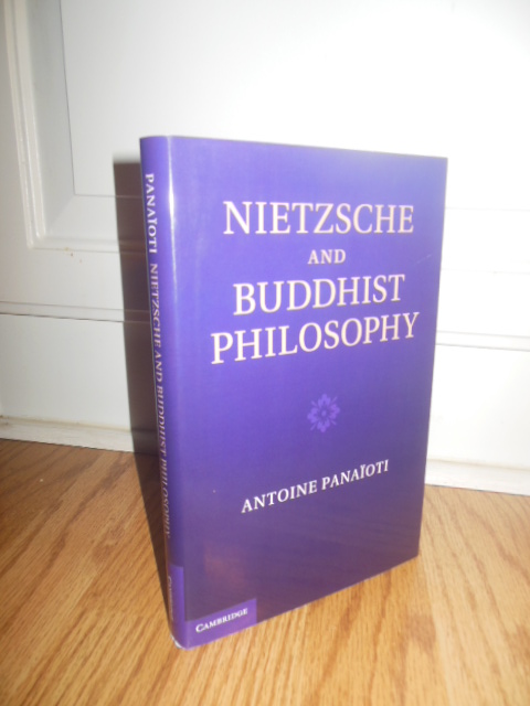 Image for Nietzsche and Buddhist Philosophy