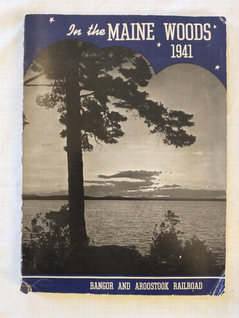 Image for IN THE MAINE WOODS 1941