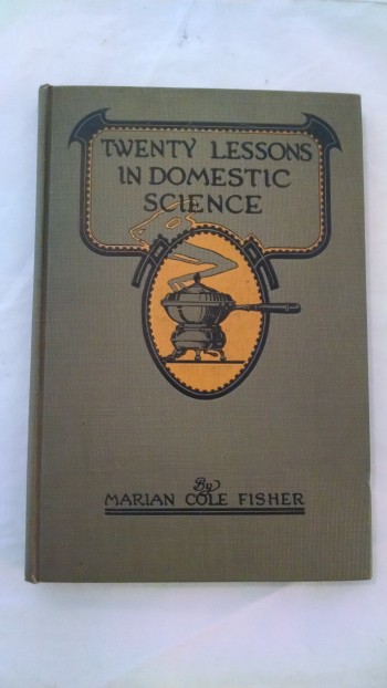 Image for TWENTY LESSONS IN DOMESTIC SCIENCE
