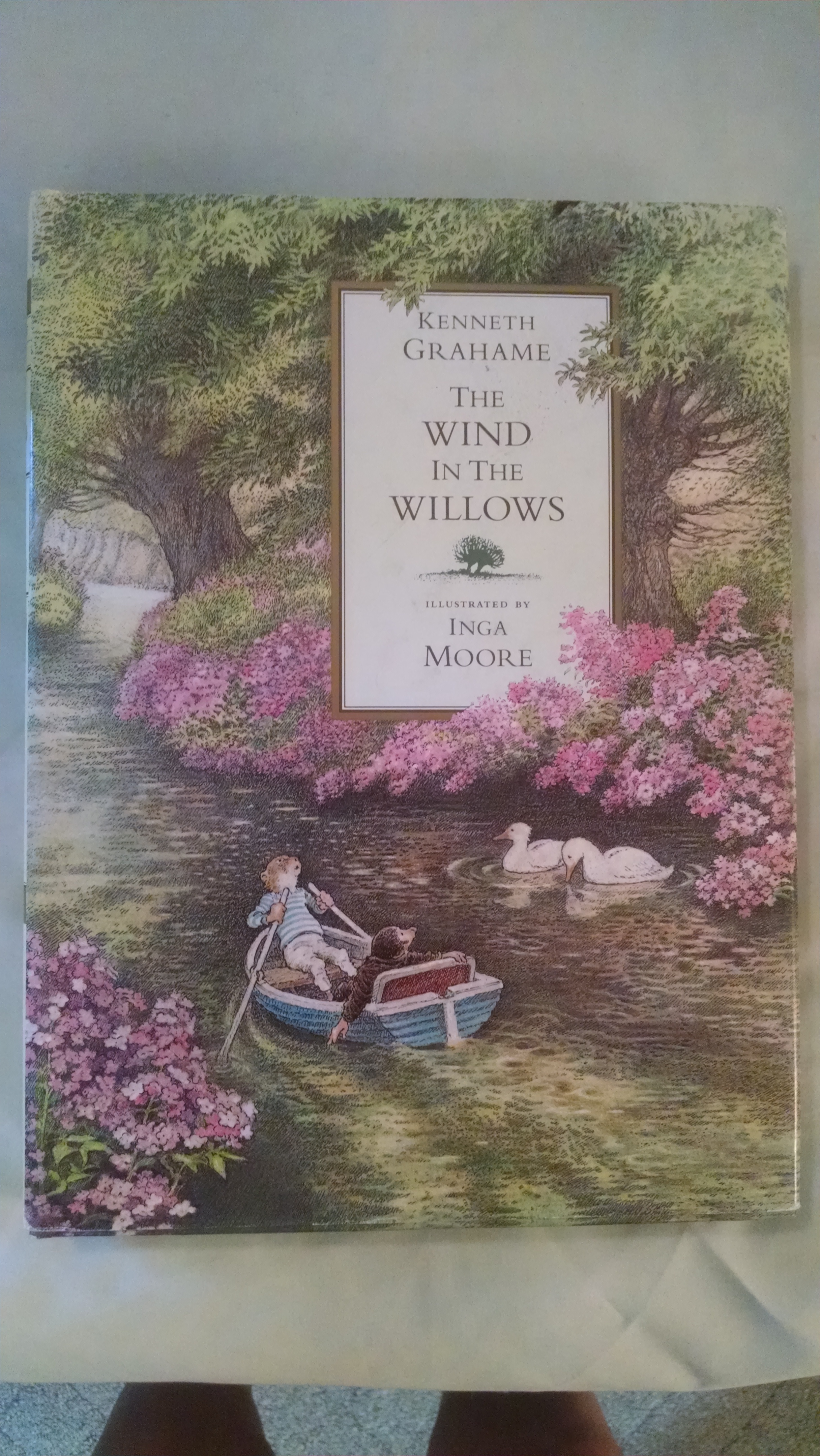 Image for THE WIND IN THE WILLOWS