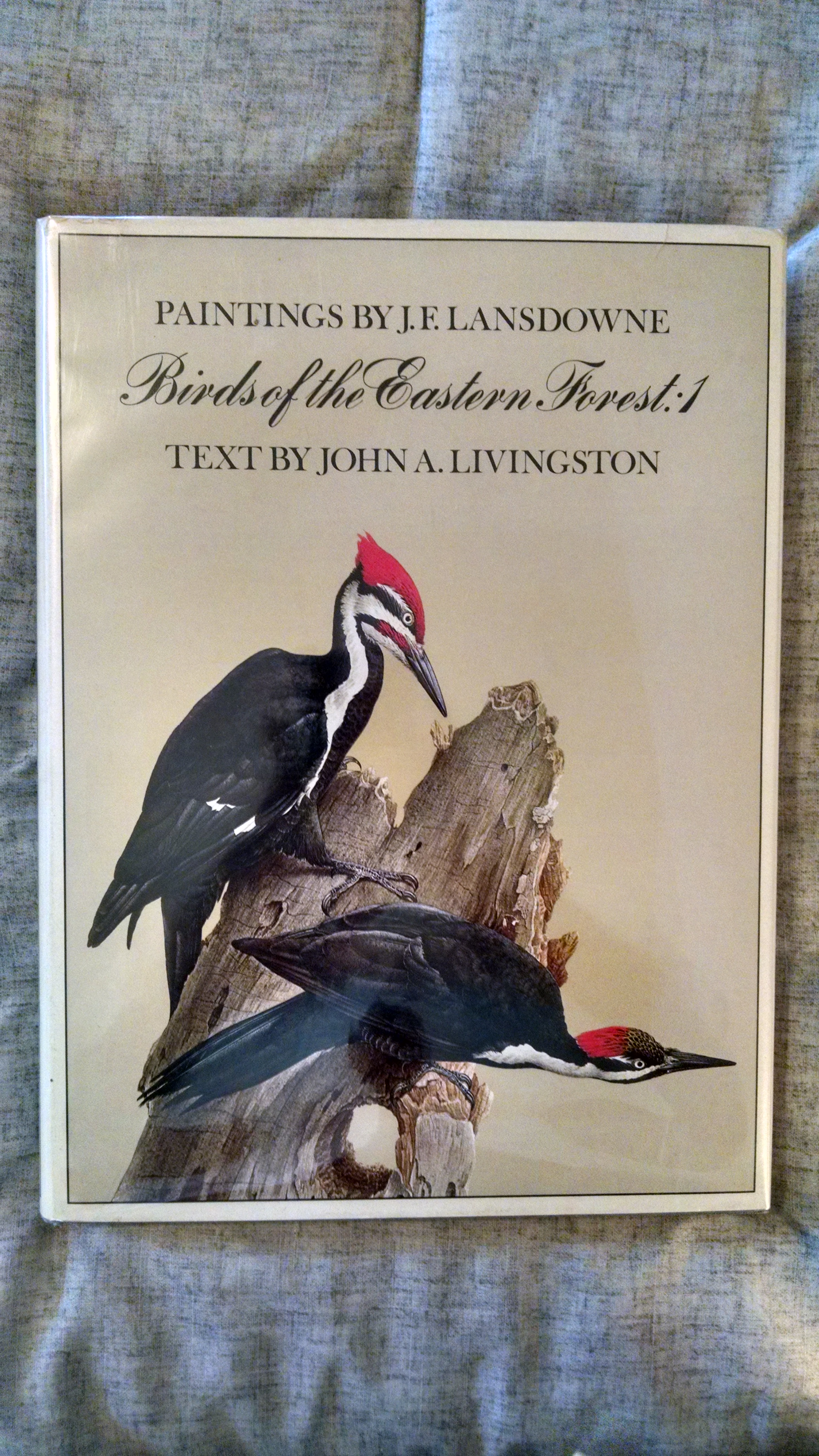 Image for PAINTINGS BY J. F. LANSDOWNE  BIRDS OF THE EASTERN FOREST   VOL 1