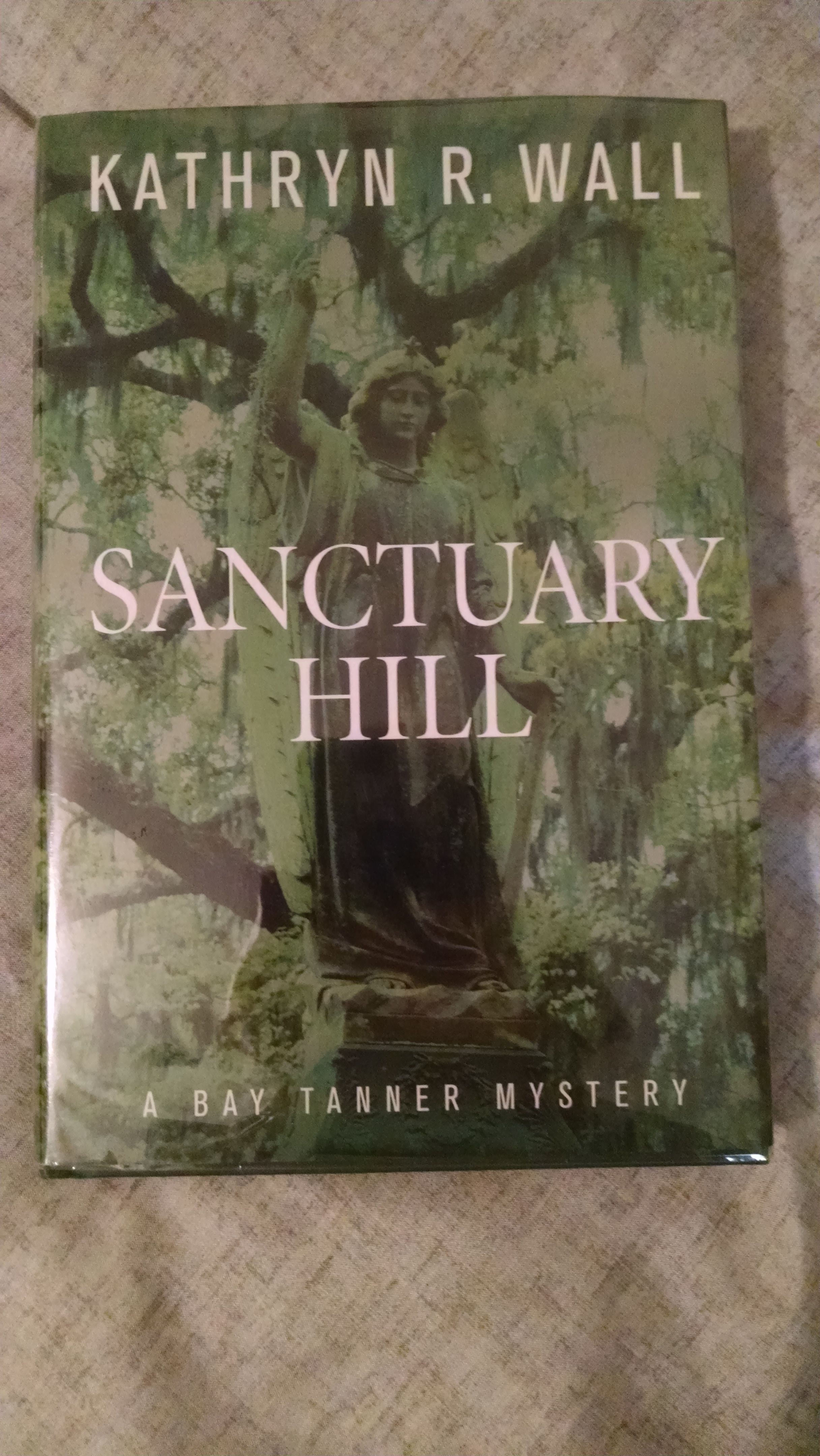 Image for SANCTUARY HILL