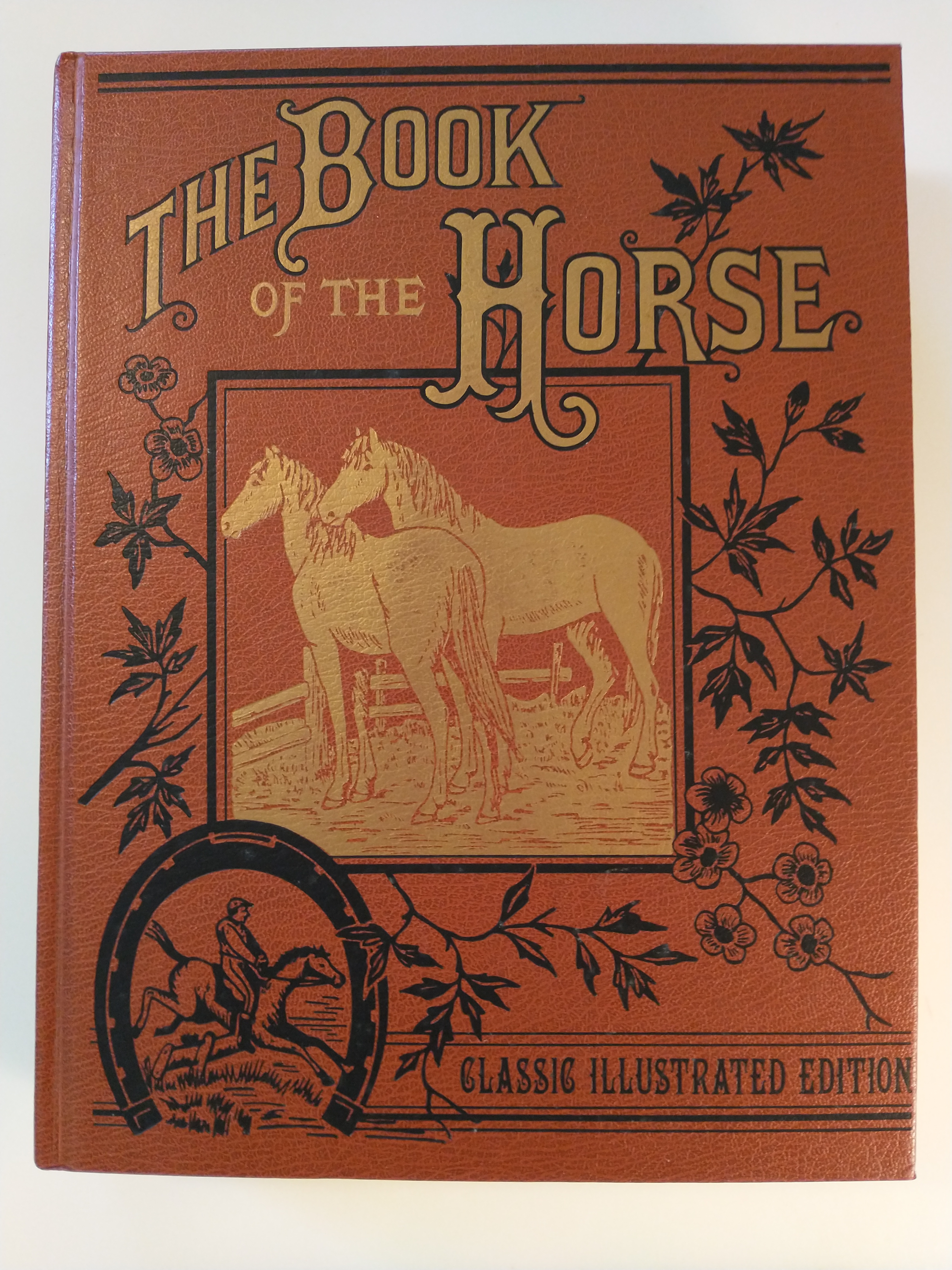 Image for THE BOOK OF THE HORSE