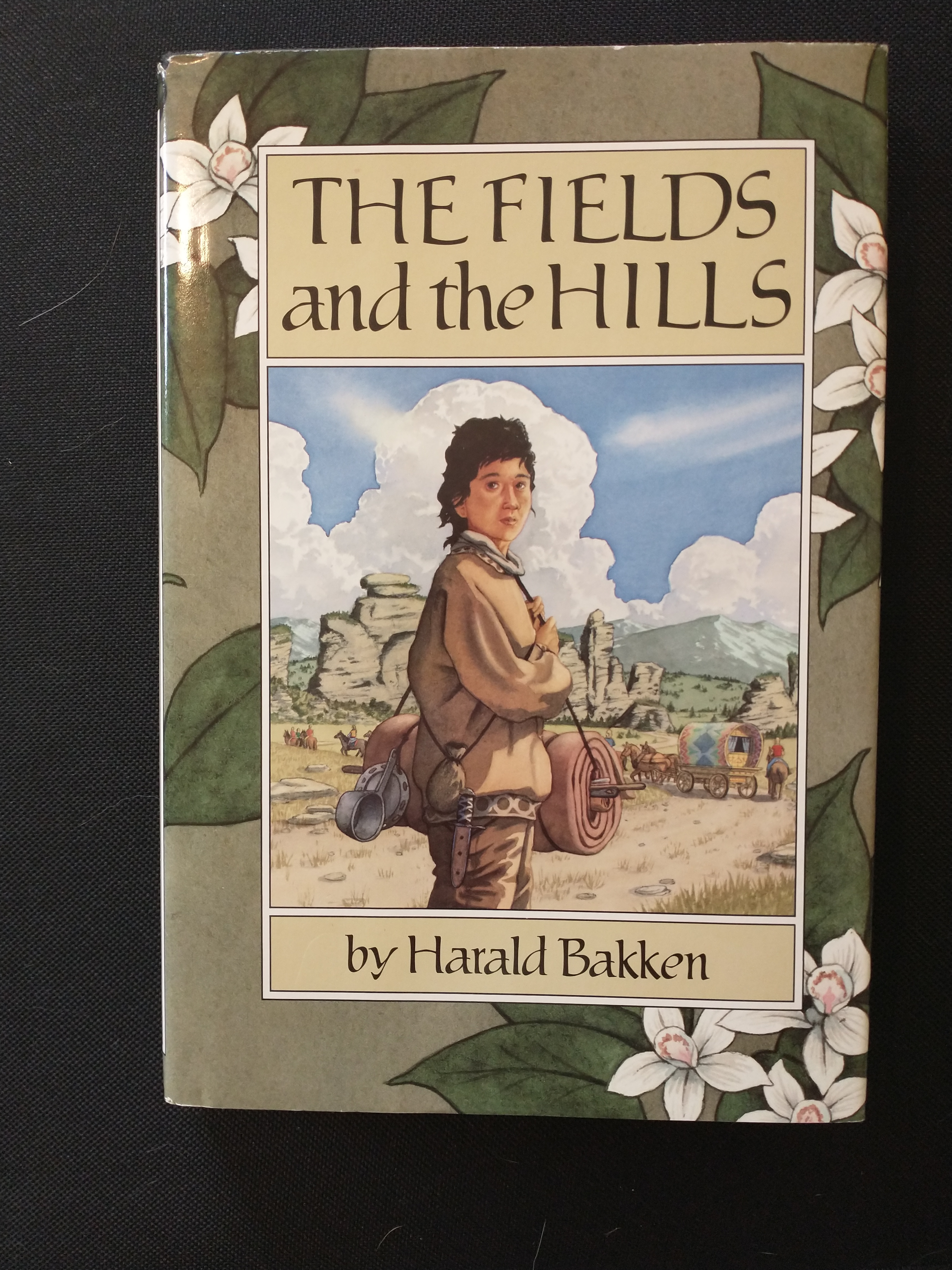 Image for THE FIELDS AND THE HILLS