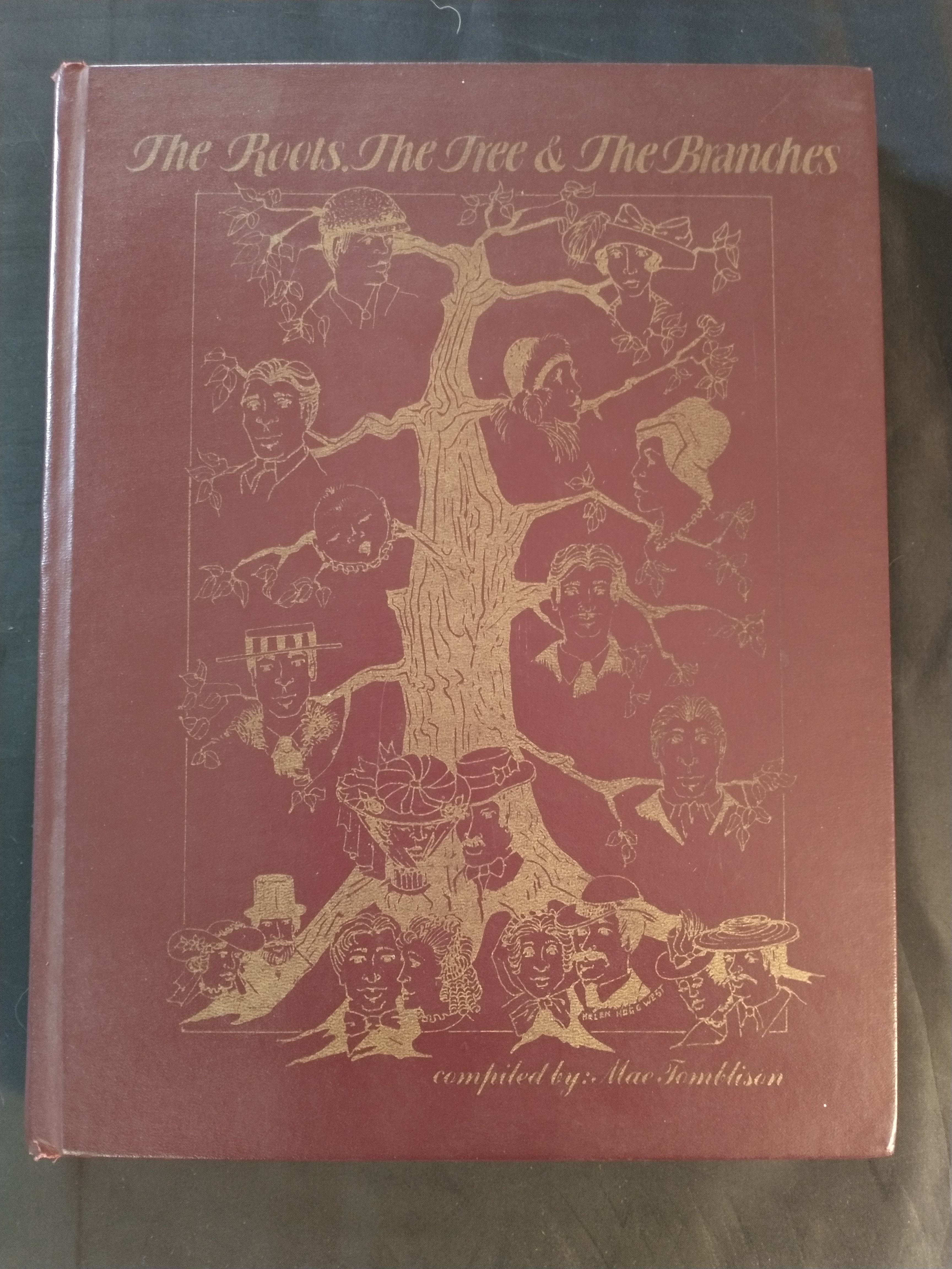 Image for THE ROOTS THE TREE & THE BRANCHES 