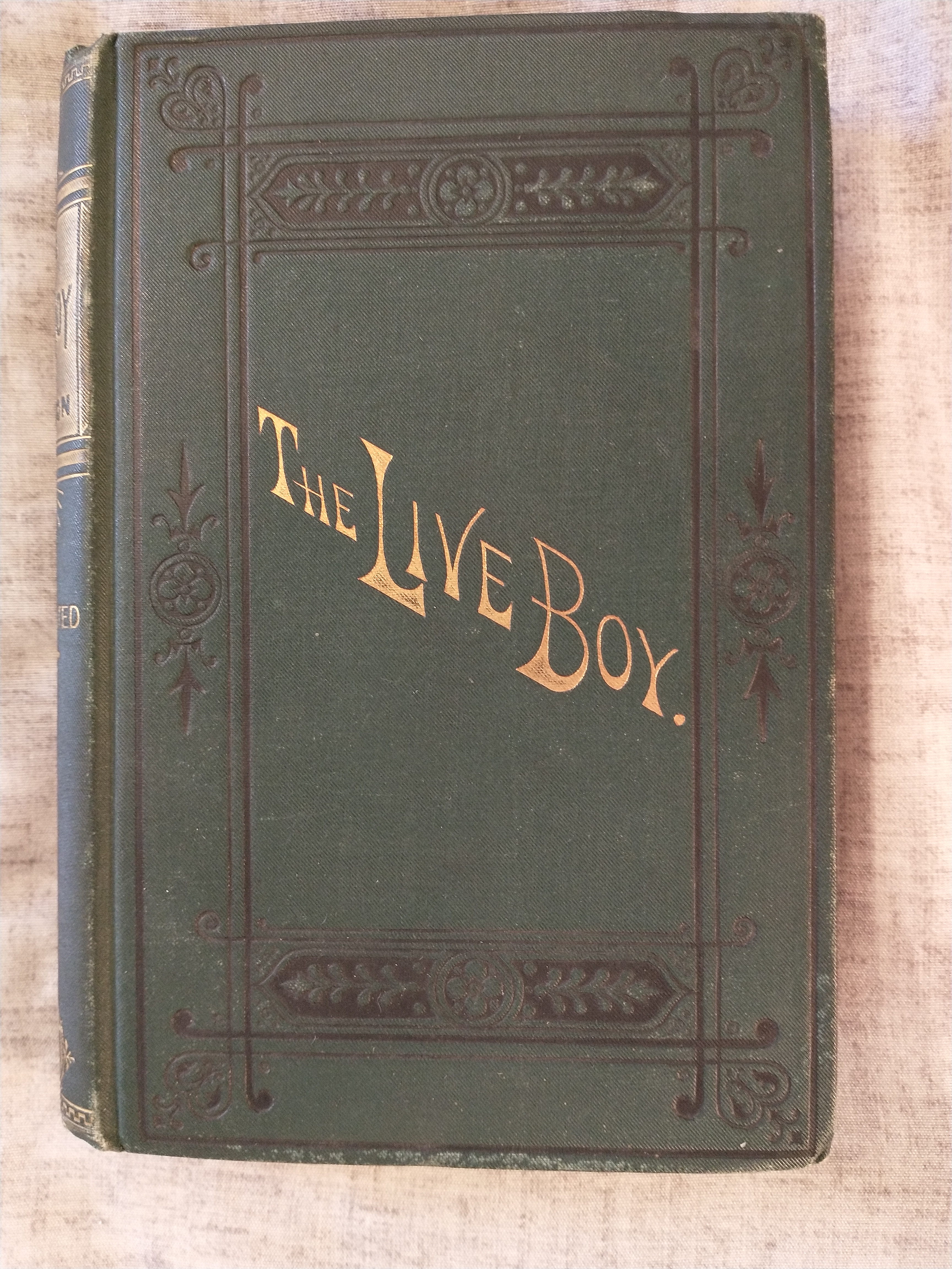 Image for THE LIVE BOY OR CHARLEY'S LETTERS