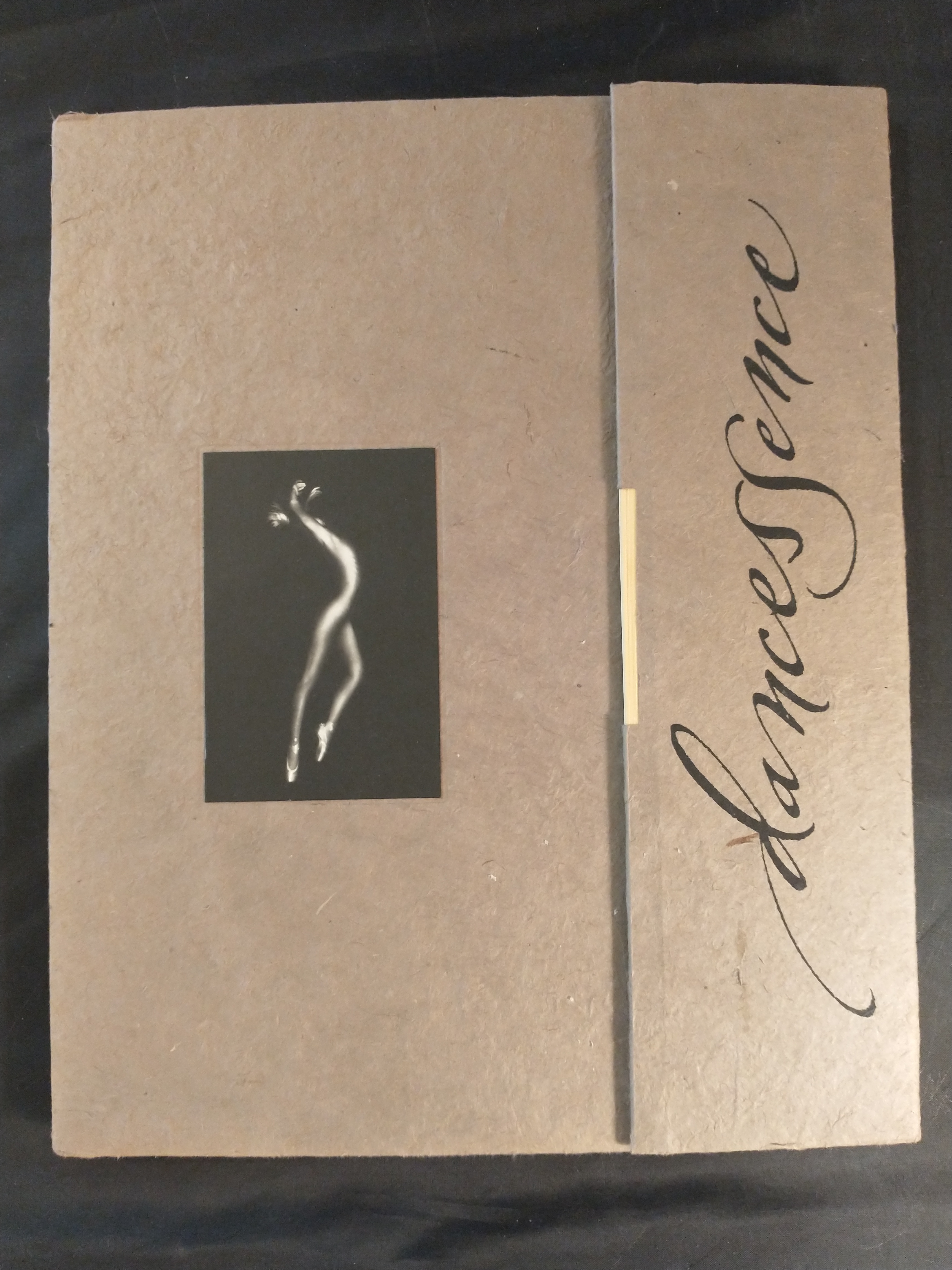 Image for DANCESSENCE