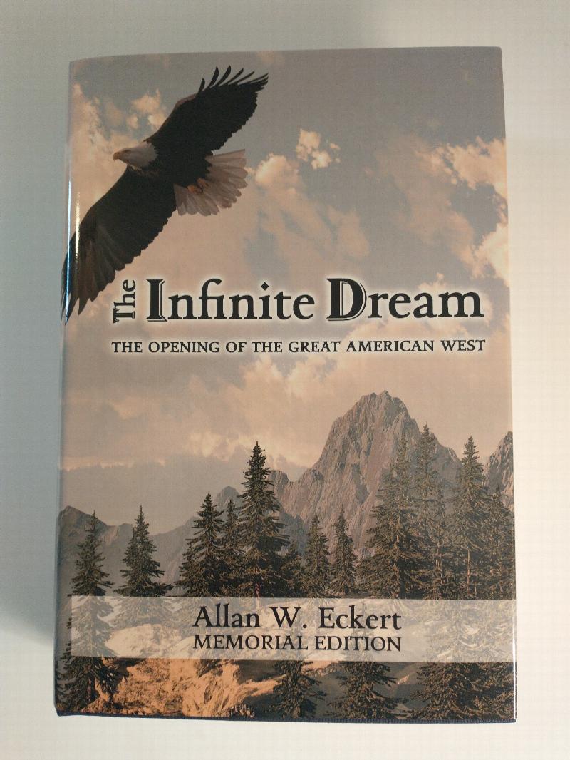 Image for THE INFINITE DREAM