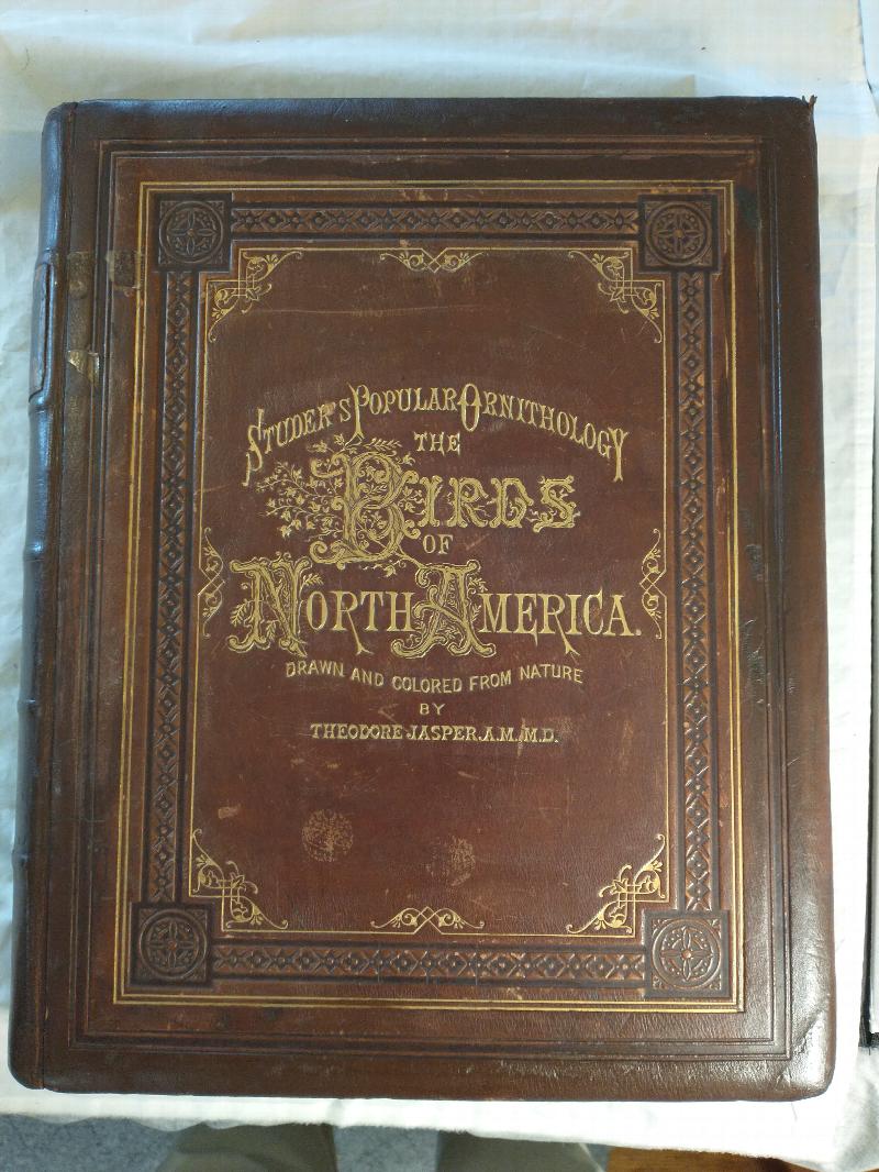 Image for STUDERS POPULAR ORNITHOLOGY THE BIRDS OF NORTH AMERICA