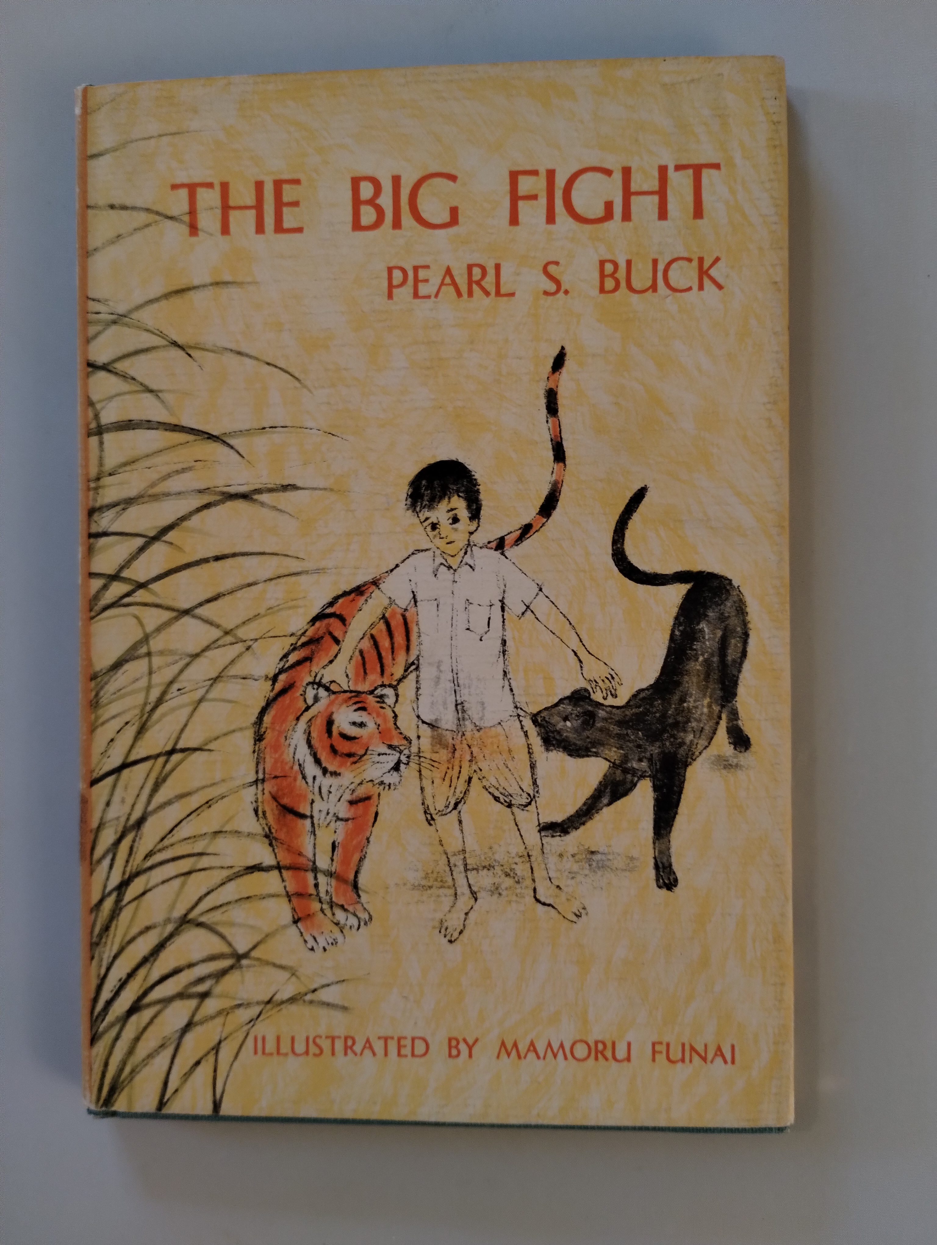 THE BIG FIGHT