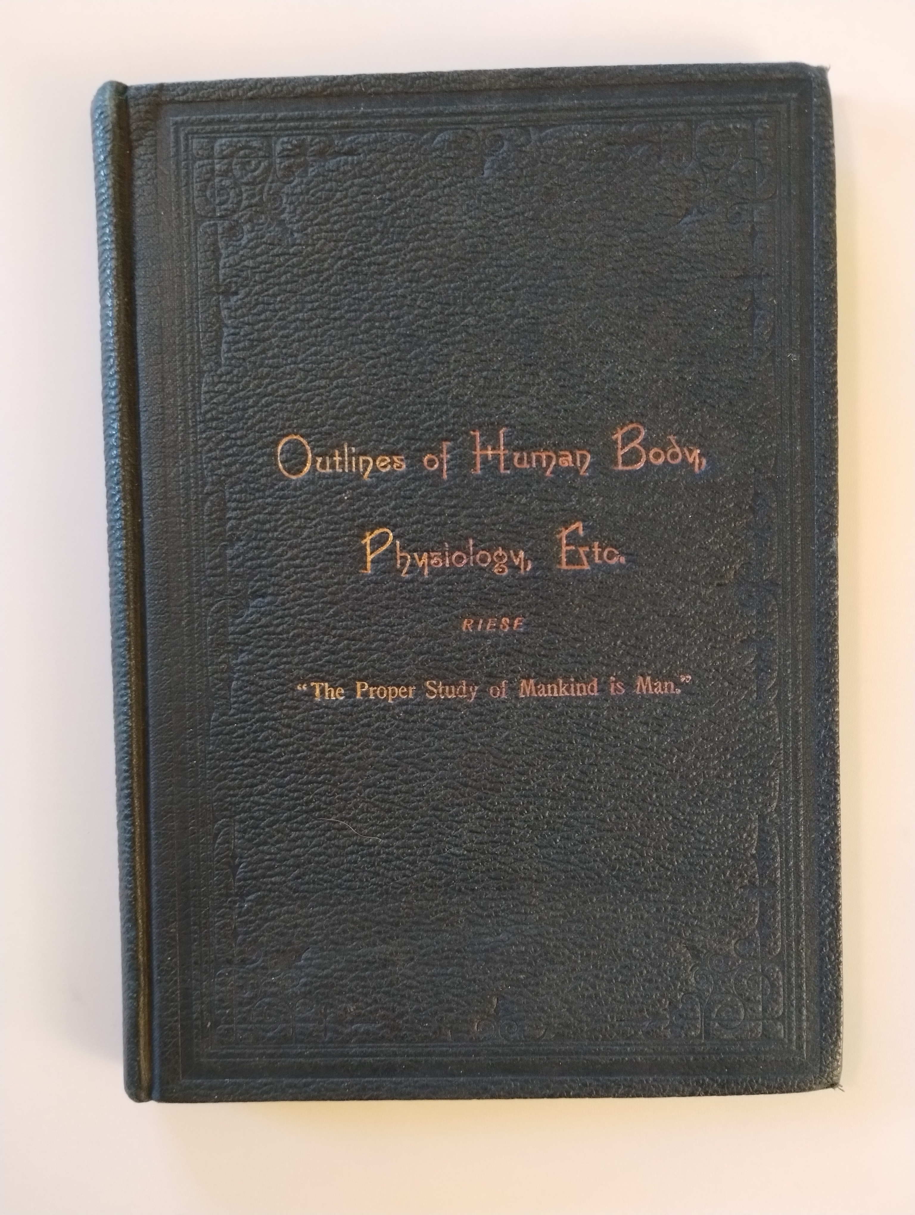 OUTLINES OF THE HUMAN BODY