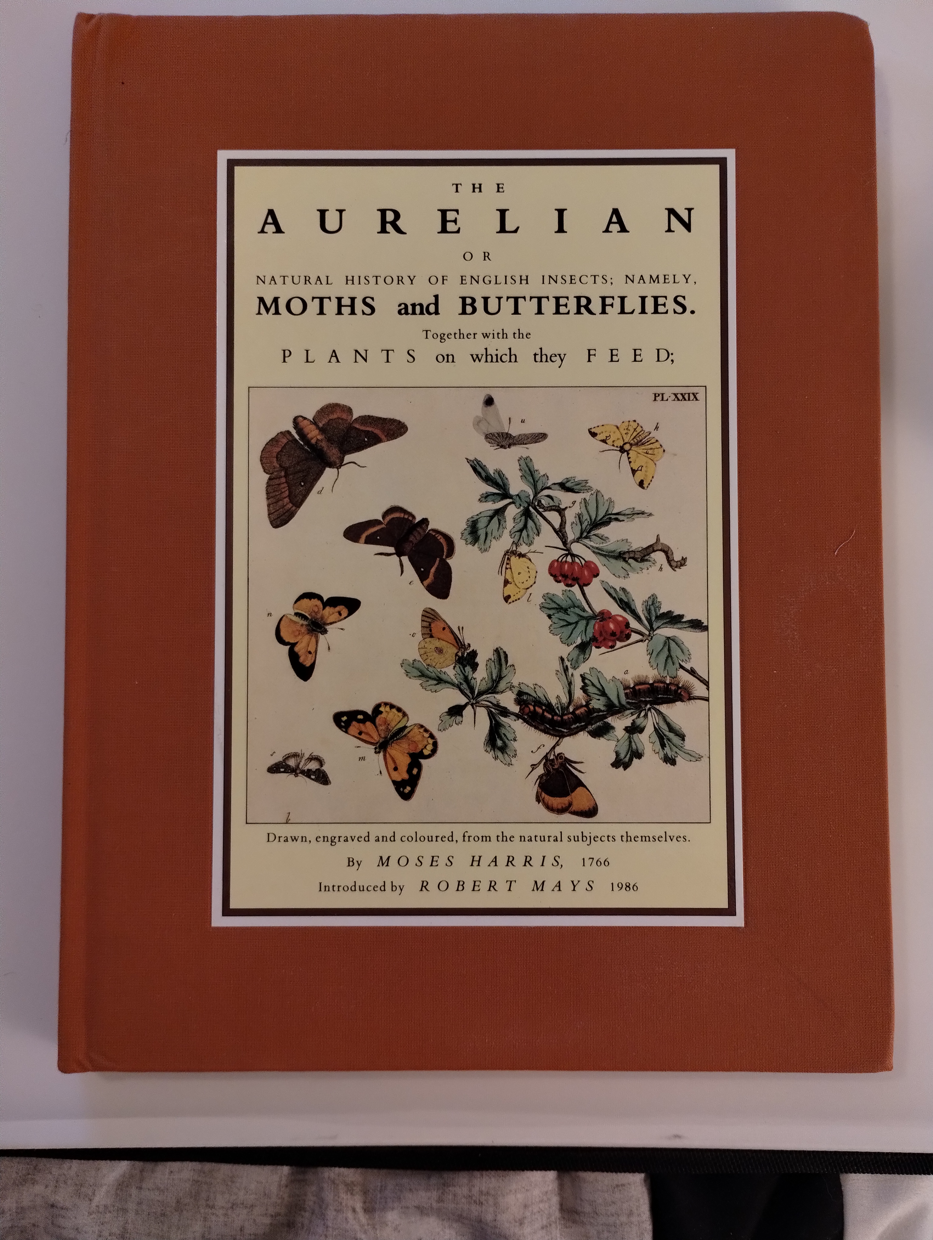 THE AURELIAN OR THE NATURAL HISTORY OF ENGLISH INSECTS
