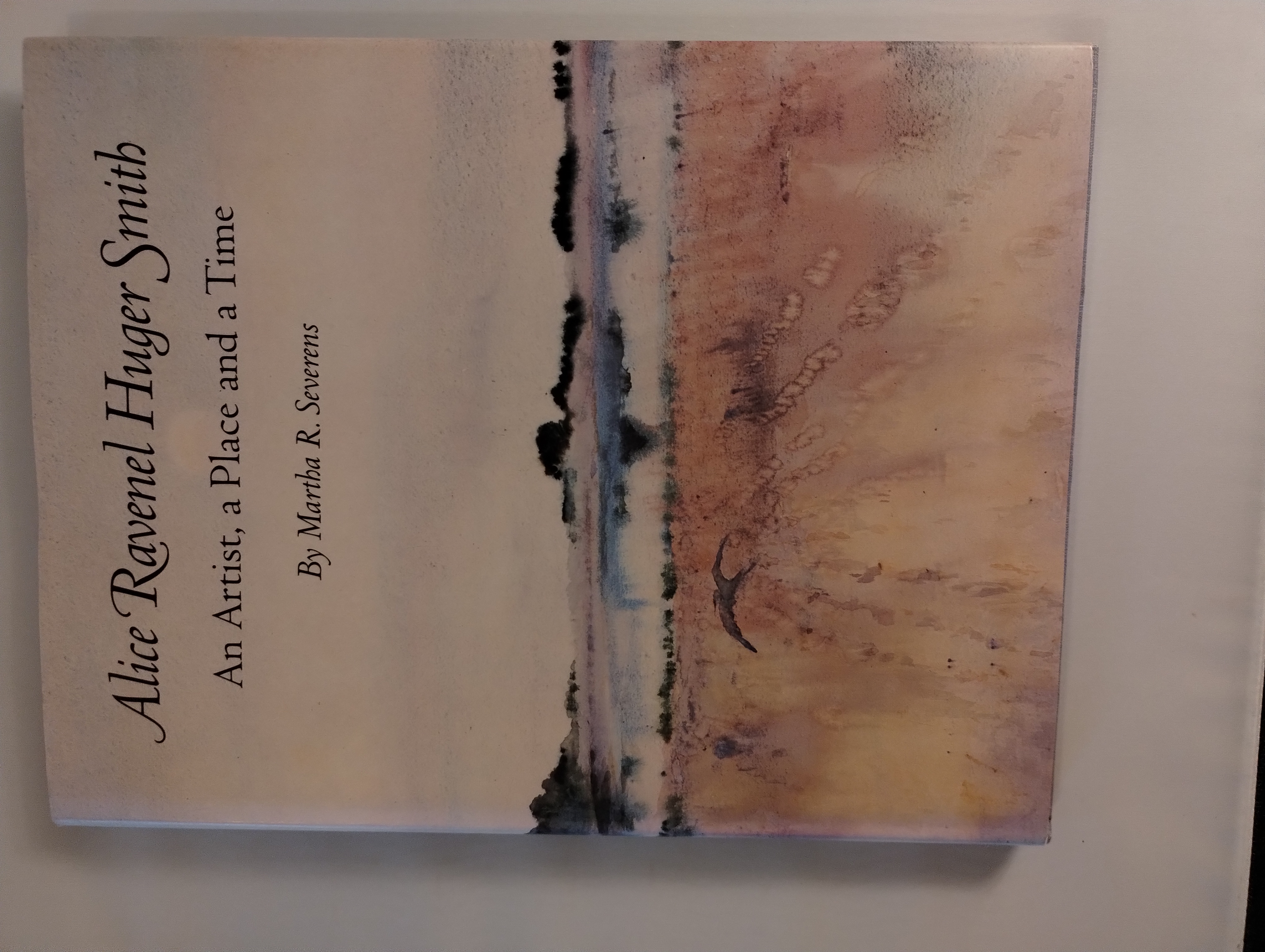 ALICE RAVENEL HUGER SMITH AN ARTIST , A PLACE AND A TIME