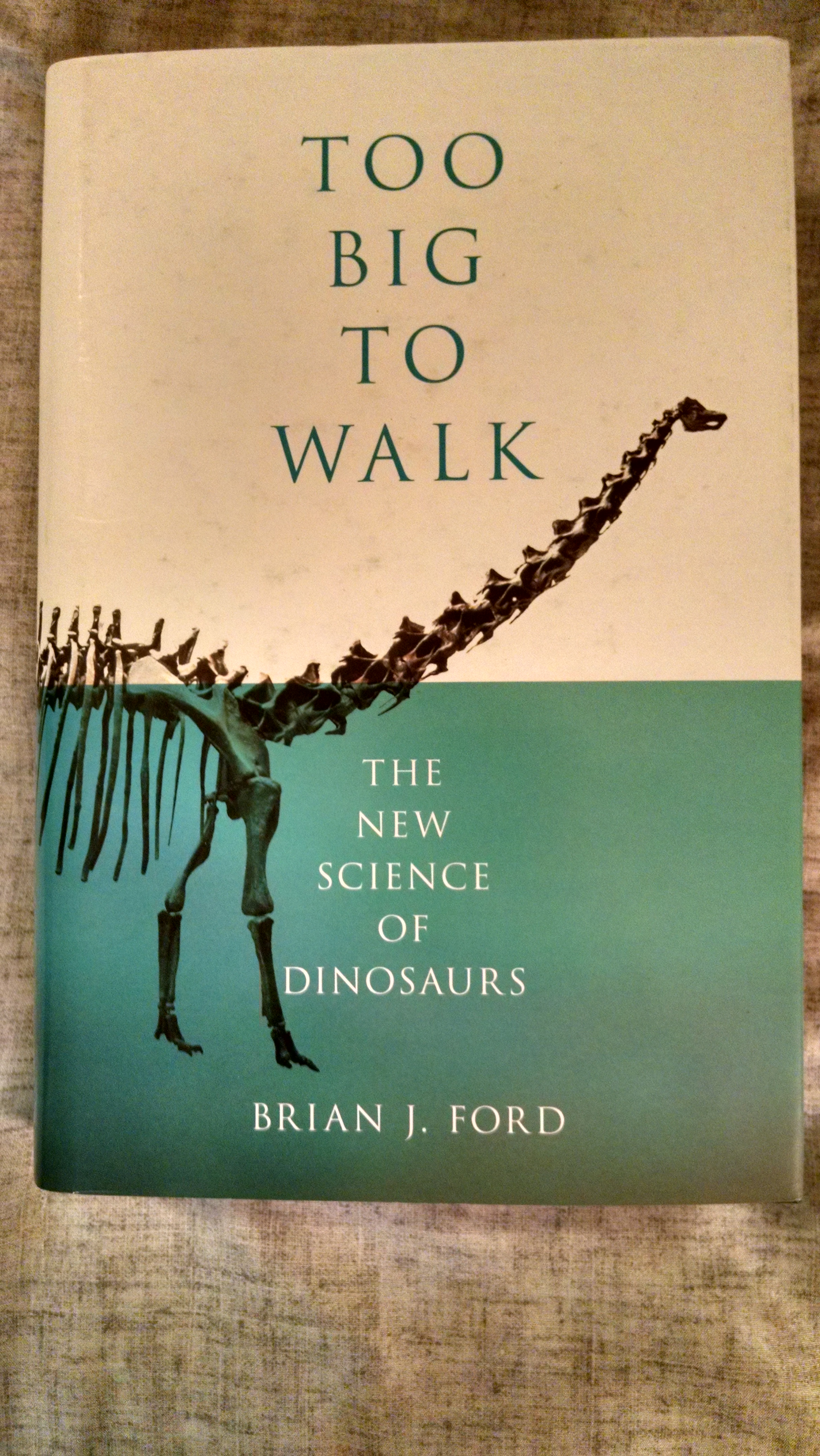 Image for TOO BIG TO WALK